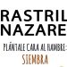 Junta de Cofradías y Manos Unidas organizan la VI Edición del Rastrillo Nazareno Junta de Cofradías y Manos Unidas organizan la VI Edición del Rastrillo Nazareno