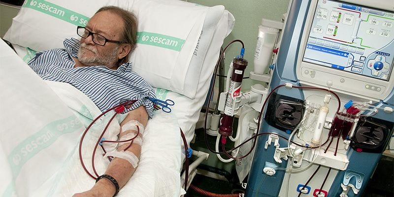 El Día Mundial del Riñón se centra este año en la prevención y el diagnóstico precoz de la enfermedad renal en niños 1 20160309 dia del rinon 5