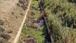 Canal Avda Juan Pablo II (2)