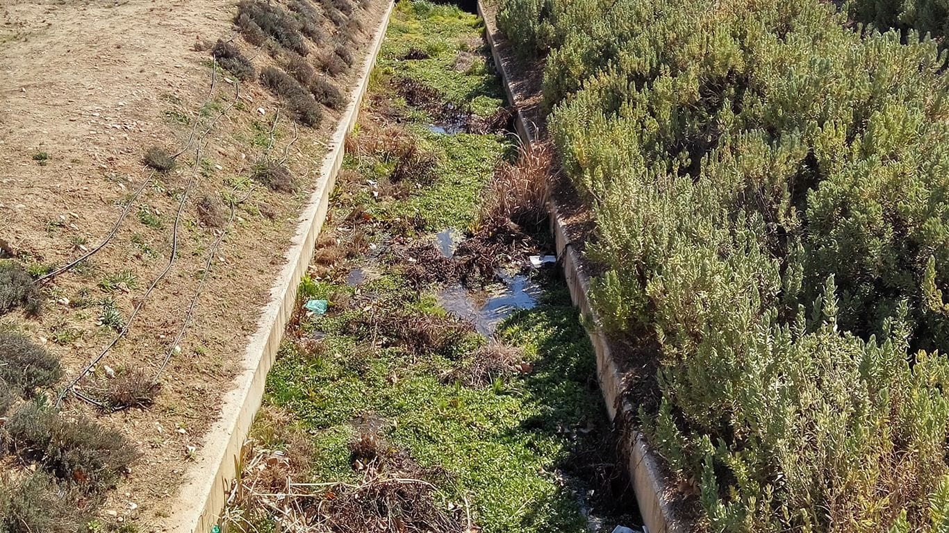 C’s Guadalajara pide ante la Junta de Gobierno la pronta ejecución de los trabajos de arreglo de la lámina de agua del barrio de El Fuerte