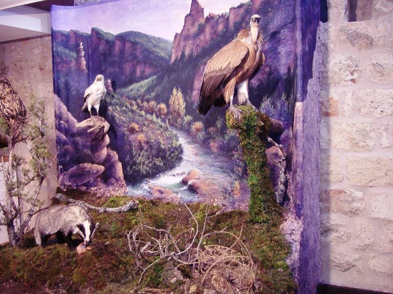 La Diputación de Guadalajara habilita un nuevo espacio del Geoparque de Molina-Alto Tajo en el castillo de Torija 3 La Diputación de Guadalajara habilita un nuevo espacio del Geoparque de Molina-Alto Tajo en el castillo de Torija