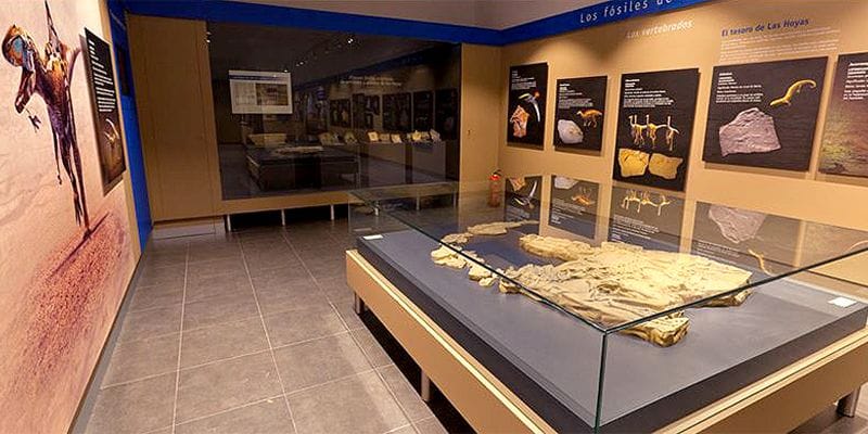 Diputación amplía en Semana Santa los horarios de la Ruta de los Dinosaurios de Cuenca