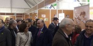 yolanda ramirez el sector apicola en guadalajara continua despuntando en el mundo gracias a la apuesta por la calidad