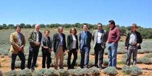 El Gobierno regional apuesta por un Plan Estratégico de la Agricultura Ecológica para fomentar su comercialización y consumo
