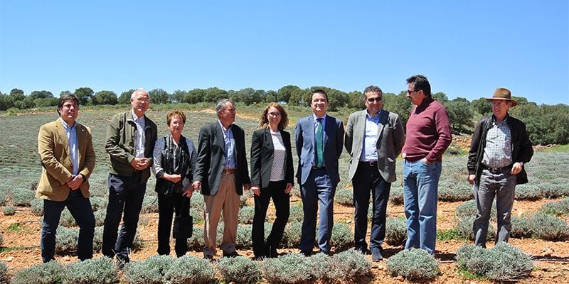 El Gobierno regional apuesta por un Plan Estratégico de la Agricultura Ecológica para fomentar su comercialización y consumo