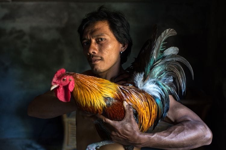 Rubén Salgado Escudero se hace con el tercer puesto del Sony World Photography Awards 2016