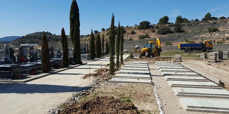 El Ayuntamiento de Pareja planta un centenar de árboles ornamentales en diferentes espacios públicos de la villa