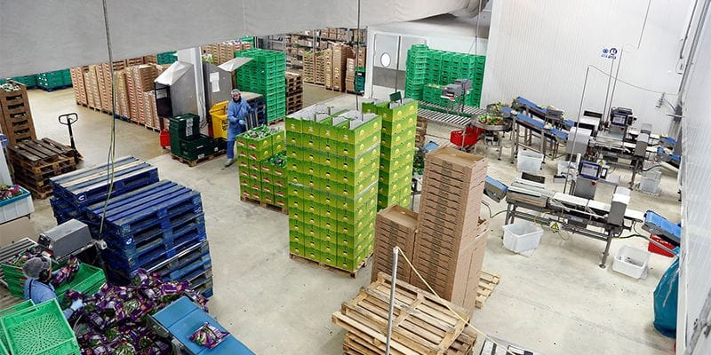 El Gobierno regional valora positivamente el crecimiento en el número de sociedades mercantiles creadas en febrero