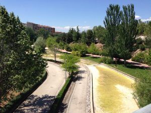 2016-05-24 próximas actuaciones en lámina de agua del barranco alamínIMG_9375