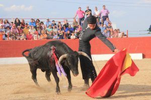 GuadalajaraBuscaToreroFestejoFuentenovillaFotoFernandoArango (4)