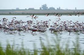 El Gobierno regional destaca el motor de desarrollo cultural y económico que supone el proyecto ‘Visiones de la Mancha’ para Castilla-La Mancha 3 El Gobierno regional destaca el motor de desarrollo cultural y económico que supone el proyecto ‘Visiones de la Mancha’ para Castilla-La Mancha