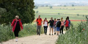 Jubileo que el Papa Inocencio X le concedió a Fray Francisco de la Cruz en el día de la Santísima Trinidad