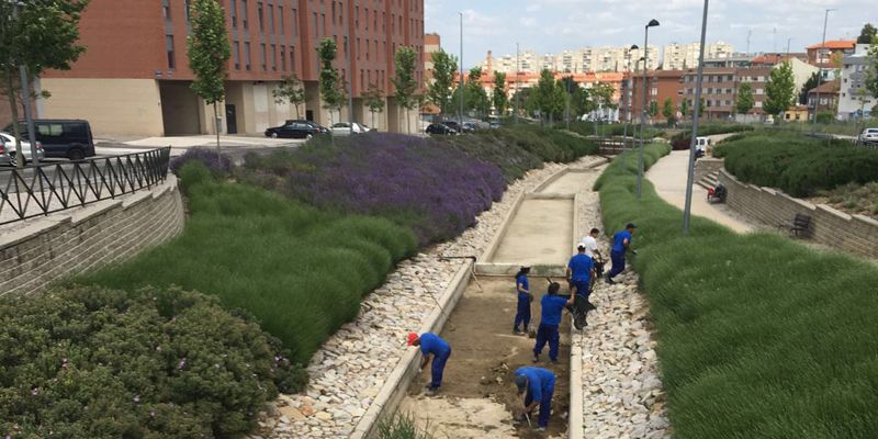 Trabajadores del Plan de Empleo limpian la lámina de agua de la Avenida Juan Pablo II