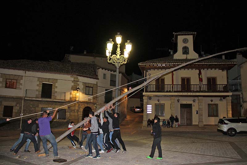 Los mozos de Trillo plantan el mayo