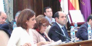 Pleno Diputacion Guadalajara