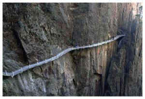 181372_6cad9e9aaca20f557d025e84e1ff395d_large