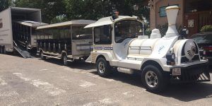 ArchivoTrenTuristicoEnUnViajeDePrueba