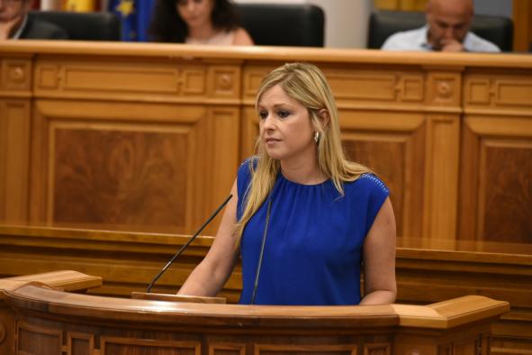 Las Cortes regionales aprueban la propuesta de abono transporte con Madrid del Gobierno de Castilla-La Mancha 4 Las Cortes regionales aprueban la propuesta de abono transporte con Madrid del Gobierno de Castilla-La Mancha