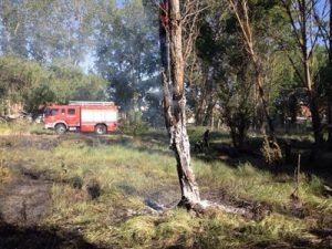 bomberos y policia local de cuenca sofocan dos incendios provocados de pelusa de chopo y de dos contenedores