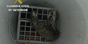 fotonoticia_20160630114324_800