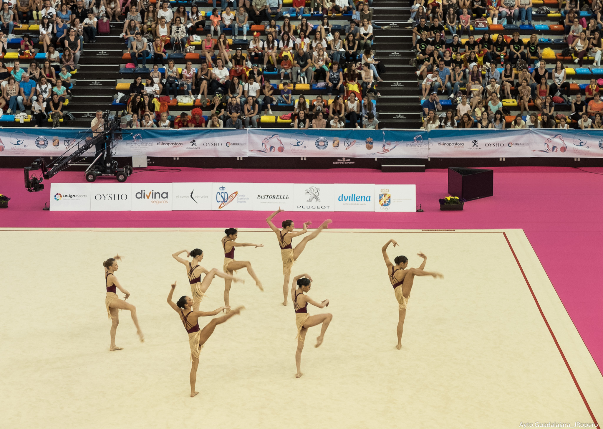 El Palacio Multiusos de Guadalajara, sede del Campeonato de España Absoluto de Gimnasia Rítmica 1 Guadalajara acogerá cursos de jueces de Gimnasia Rítmica.