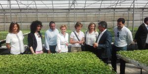 Ha visitado la Sociedad Cooperativa Santiago Apóstol y la Cooperativa Virgen de las Viñas, en Tomelloso