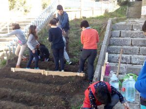 HuertoFedericoMuelasNota