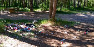 IMG_20160613_102537_HDR