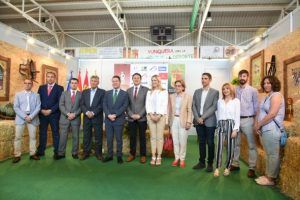 PAGE , FERIA CABALLO Y ANTENAS