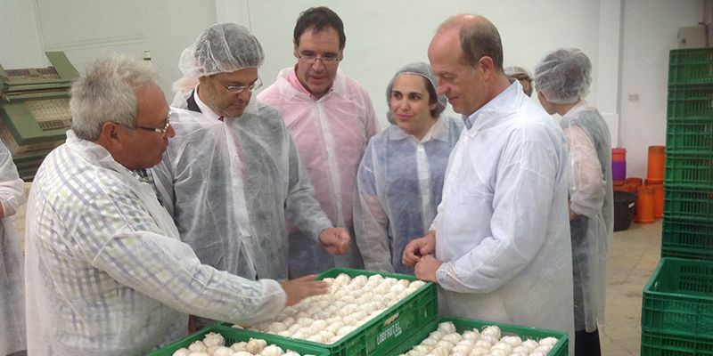 Catalá: “El PP seguirá trabajando por un sector agroalimentario innovador y dinámico”