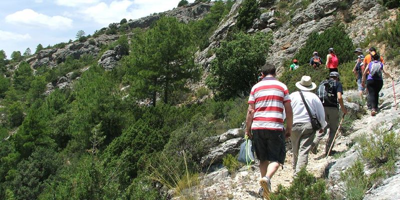 El verano se hace notar en la ruta de senderismo de Portilla dentro del Campus de la Diputación
