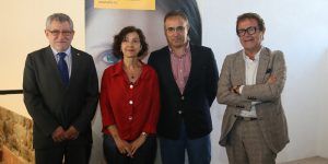 VISIONES DE LA MANCHA