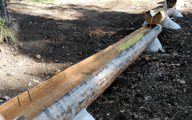 La Junta y la Obra Social ‘La Caixa’ llevan a cabo la adecuación de varias infraestructuras ganaderas en la Serranía de Cuenca