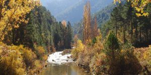 Alto-tajo-de-peralejos-de-las-truchas-guadalajara