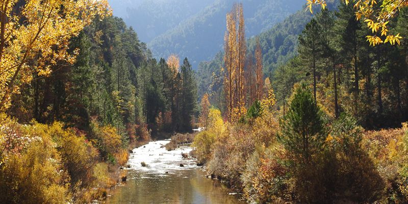 Castilla-La Mancha se convirtió en junio en el destino en el que más creció el turismo rural a nivel nacional