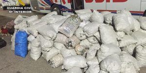 Detenido en Cuenca por robar 6.000 kilos de ajo de una nave 2 Cargamento de ajos requisados.