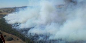 Incendio en San Lorenzo de la Parrilla. Foto: @BRIFpradotwit 