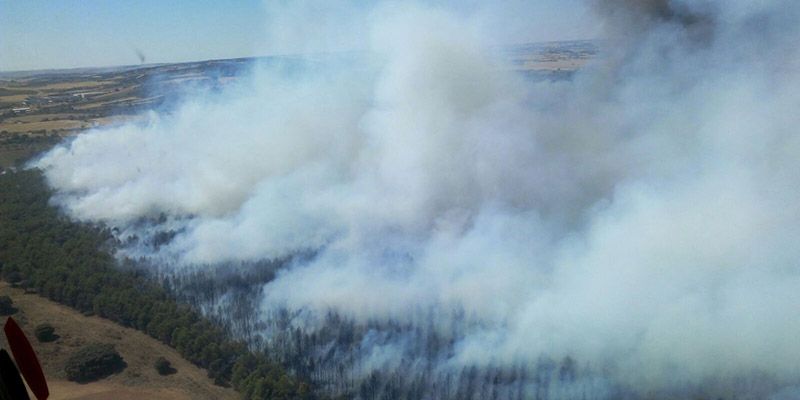 La tragedia se ceba con Cuenca: 330 hectáreas de pinar quemado en Villar de la Encina y ahora arde La Parrilla