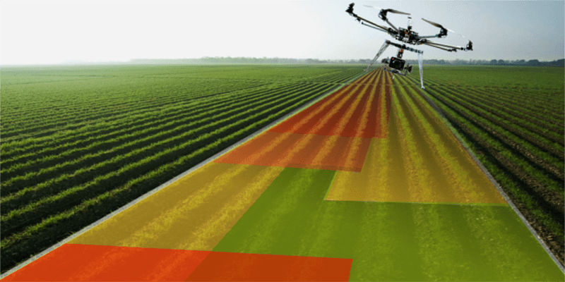 APAG se adelanta y utilizará drones para mejorar el cultivo de cereales en la comarca de Molina de Aragón