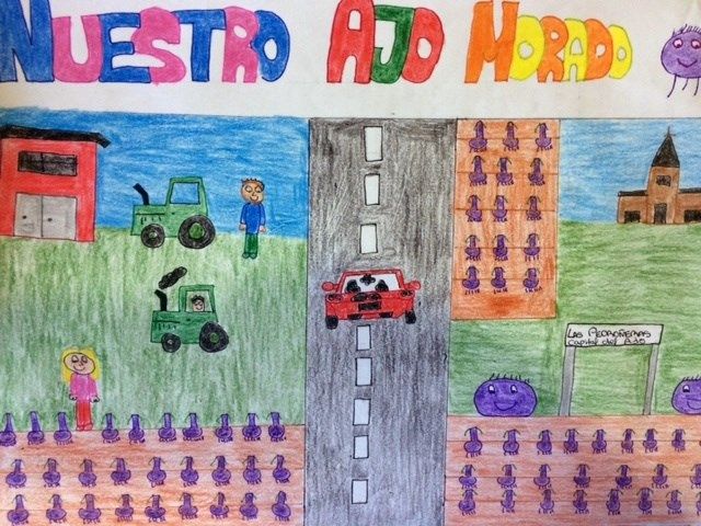 El día 31 se sabrá el premio del I Concurso de Dibujo de IGP Ajo Morado