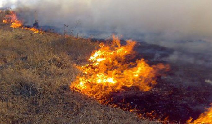 La Guardia Civil identifica a tres menores como presuntos autores de un incendio en Guadalajara