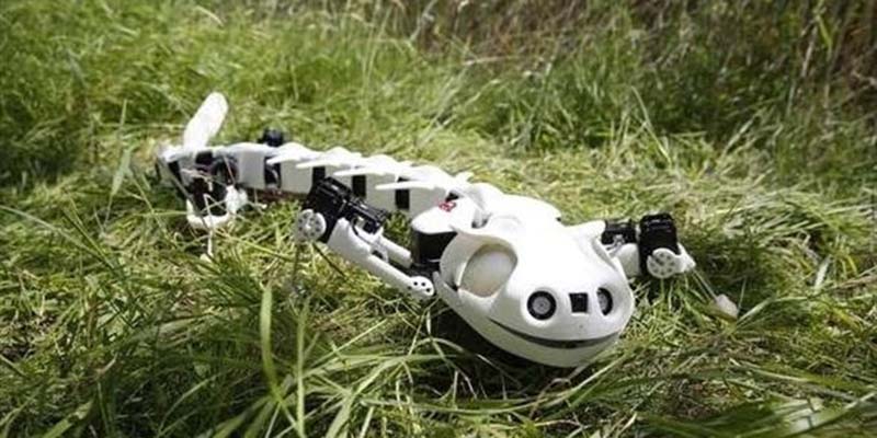 Construyen un robot-salamandra que puede reptar y nadar