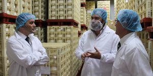 Aumentan un 11,8% las exportaciones en Castilla-La Mancha 2 Sotuelamos050716