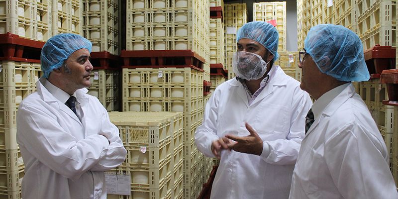 Aumentan un 11,8% las exportaciones en Castilla-La Mancha