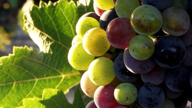 CEOE CEPYME Cuenca destaca el incremento de las exportaciones de Enero a Abril