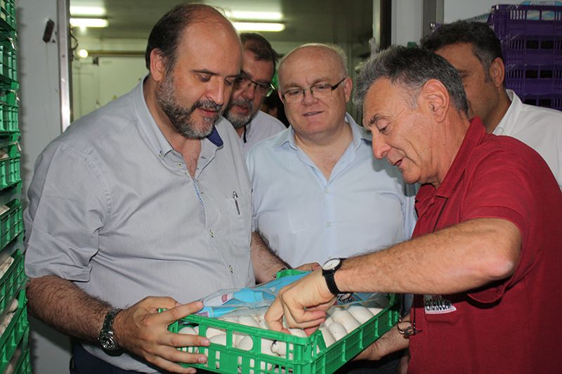 La Junta resalta el papel estratégico del sector del champiñón para la economía de la comarca de La Manchuela