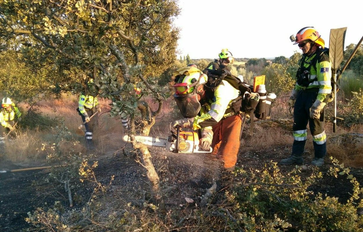 Guadalajara y Cuenca sufren 17 incendios en lo que va de verano