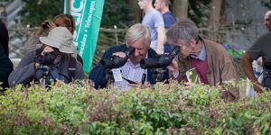 Castilla-La Mancha mostrará su oferta como destino idóneo para los amantes de la naturaleza y las aves en la Birdfair 2016 de Reino Unido