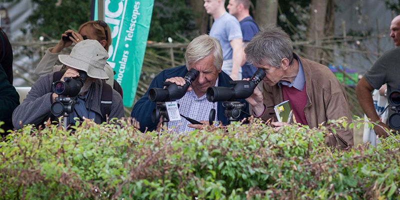 Castilla-La Mancha mostrará su oferta como destino idóneo para los amantes de la naturaleza y las aves en la Birdfair 2016 de Reino Unido