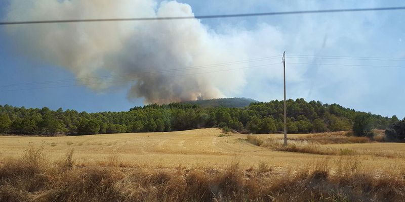 Un total de 15 medios y 52 personas trabajan en la extinción de un fuego declarado en Caracenilla